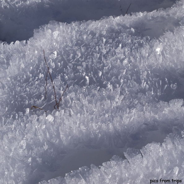 Ice flakes2011d30c006.jpg